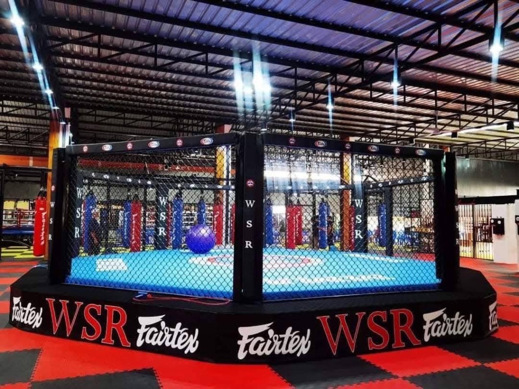 กรง MMA